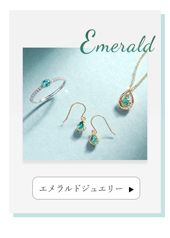 �G�������h�W���G���[