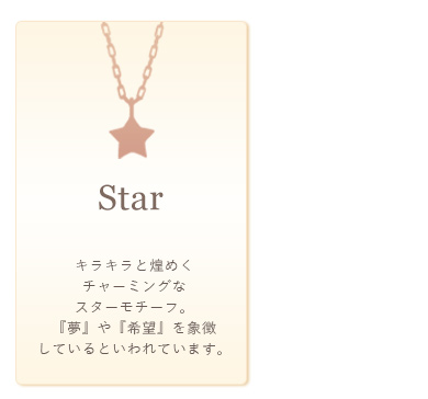 �X�^�[���`�[�t