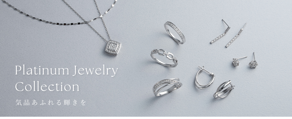 �v���`�i�W���G���[�R���N�V����