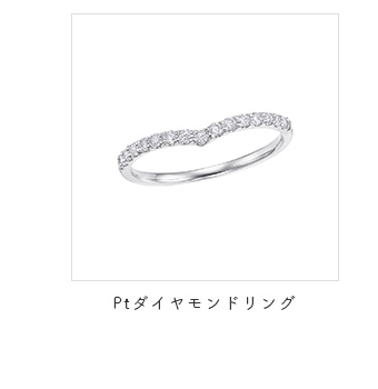 �v���`�i�_�C�������h�����O