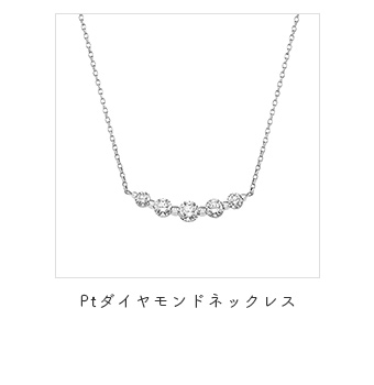 �v���`�i�_�C�������h�l�b�N���X