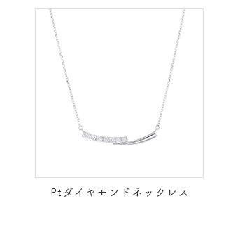 �v���`�i�_�C�������h�l�b�N���X