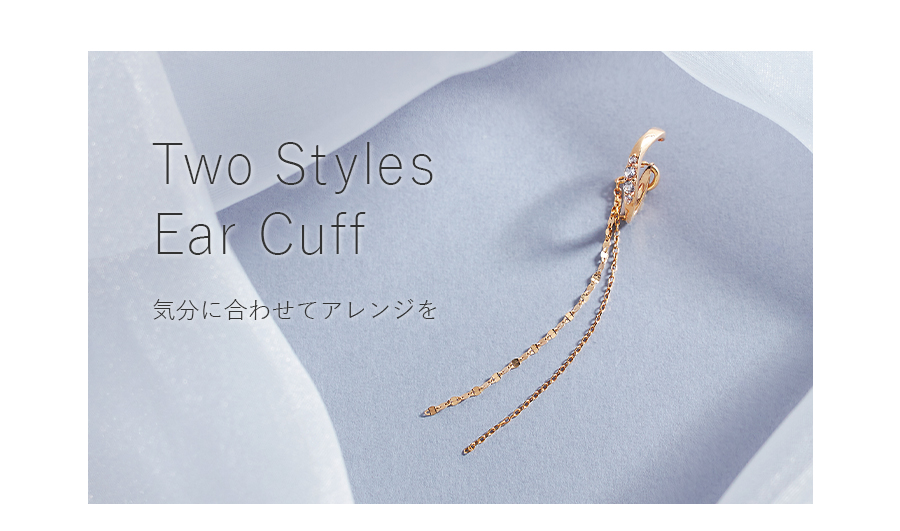 2�X�^�C���C���[�J�t