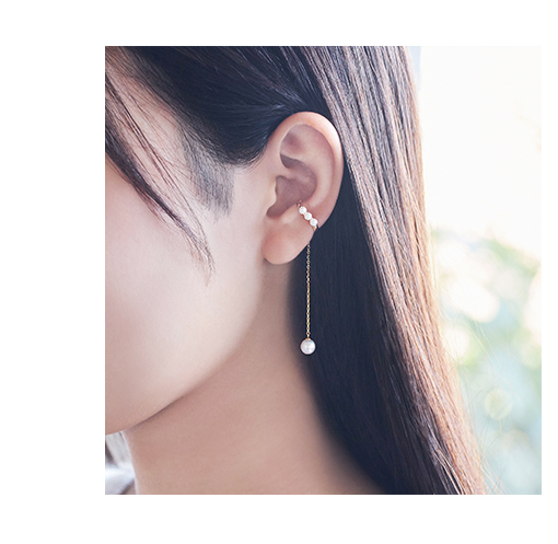 �C���[�J�t�����摜