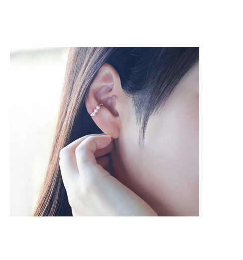 �C���[�J�t�����摜