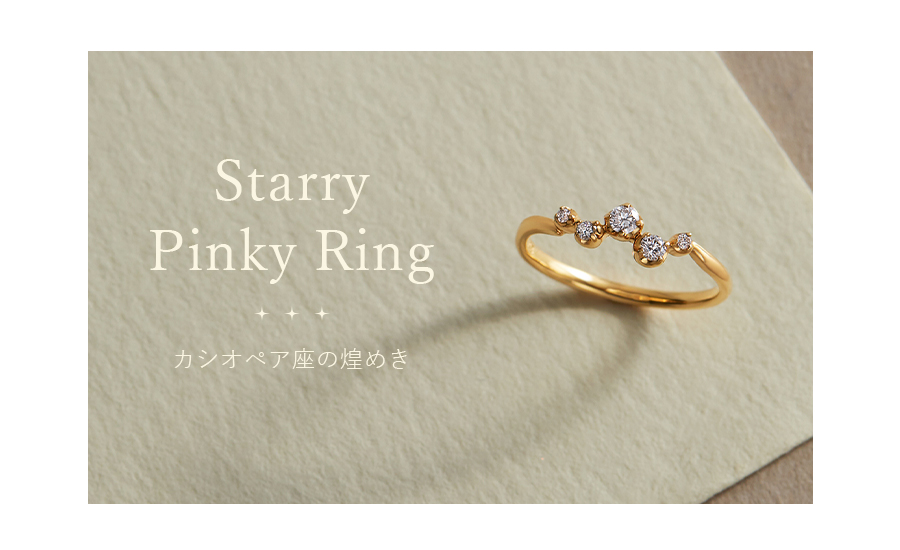 �X�^�[���[�s���L�[�����O