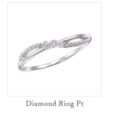 �v���`�i�_�C�������h�����O