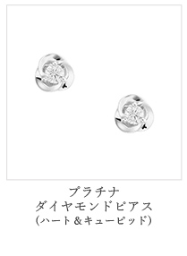 �v���`�i�_�C�������h�s�A�X H&C