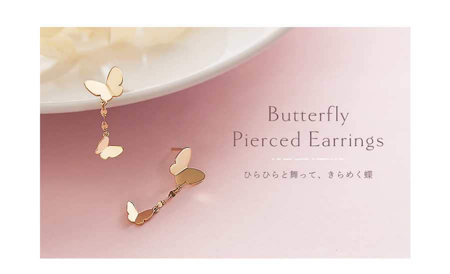 �o�^�t���C�s�A�X