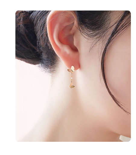 �o�^�t���C�s�A�X