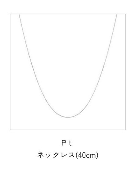 �v���`�i�l�b�N���X