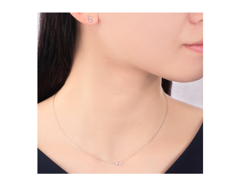 �v���`�i�_�C�������h�l�b�N���X