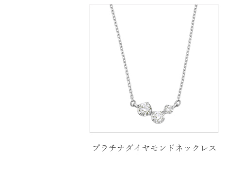 �v���`�i�_�C�������h�l�b�N���X