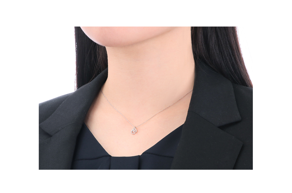 �v���`�i�_�C�������h�l�b�N���X