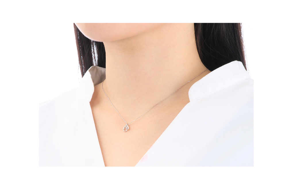 �v���`�i�_�C�������h�l�b�N���X