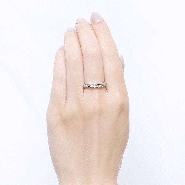 �v���`�i�_�C�������h�����O