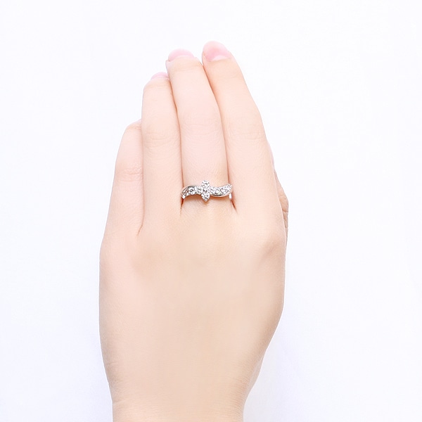 �v���`�i�_�C�������h�����O