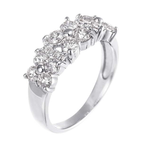 �v���`�i�_�C�������h�����O