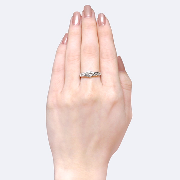 �v���`�i�_�C�������h�����O