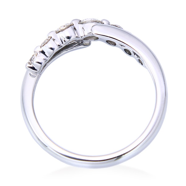 �v���`�i�_�C�������h�����O