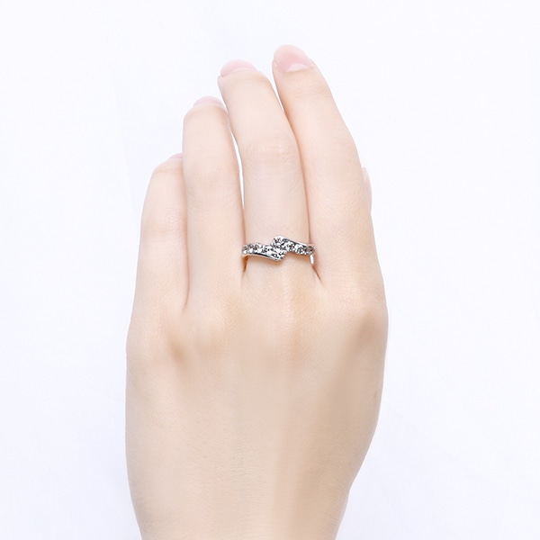 �v���`�i�_�C�������h�����O