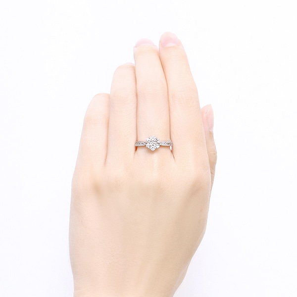 �v���`�i�_�C�������h�����O