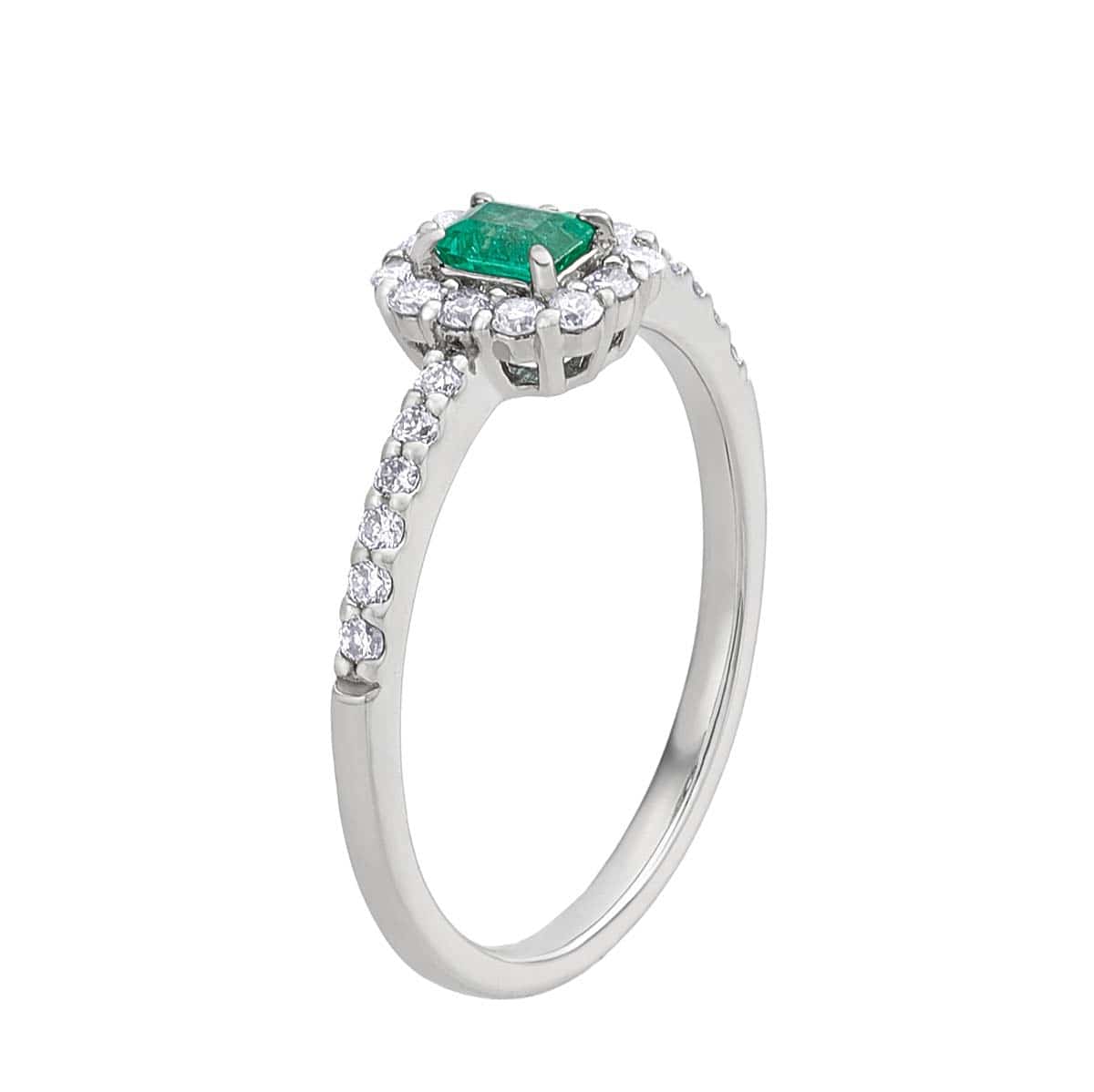 �v���`�i�G�������h�����O