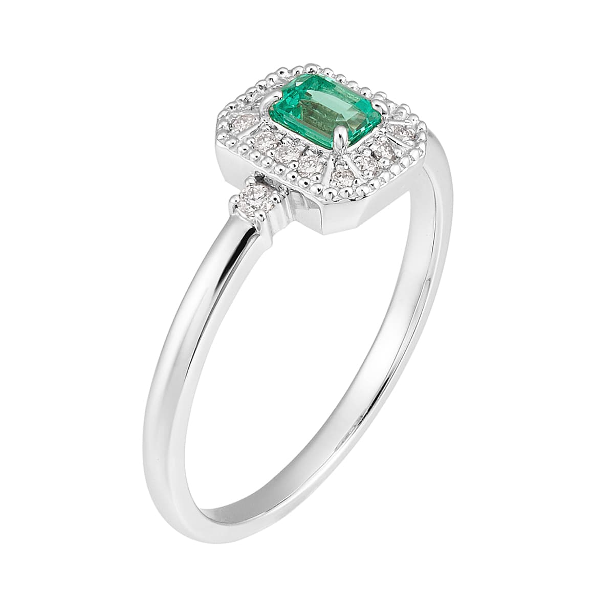 �v���`�i�G�������h�����O