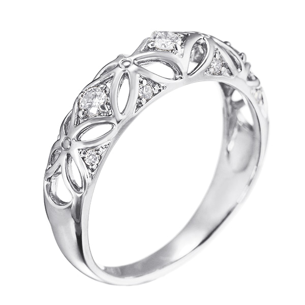 �v���`�i�_�C�������h�����O