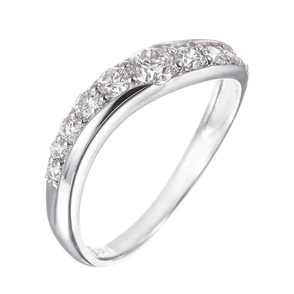 �v���`�i�_�C�������h�����O