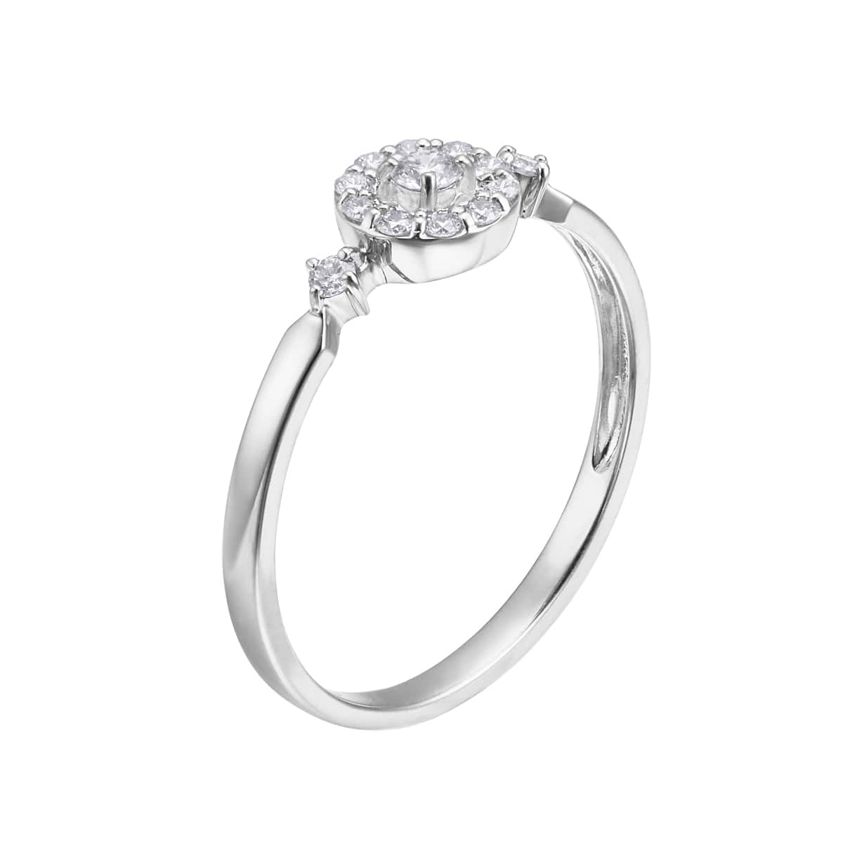 �v���`�i�_�C�������h�����O