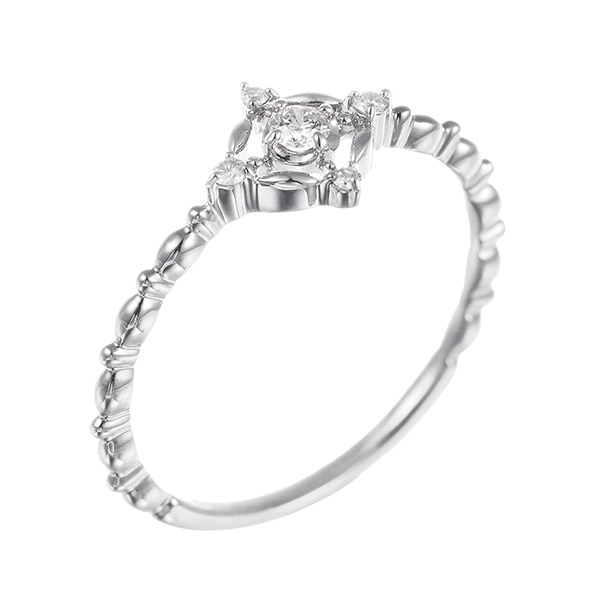 �v���`�i�_�C�������h�����O