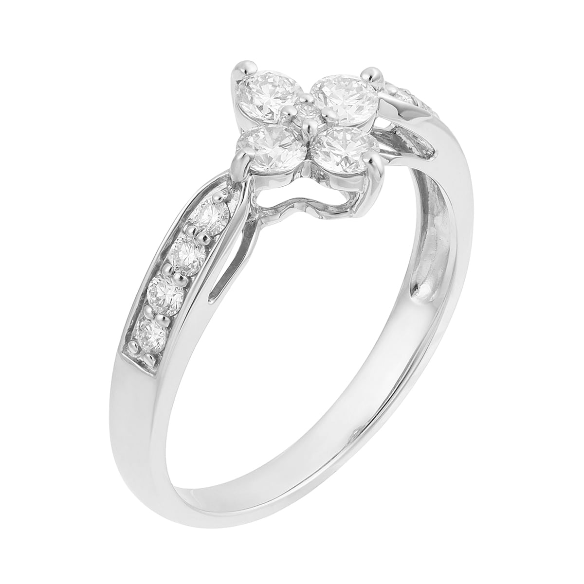 �v���`�i�_�C�������h�����O