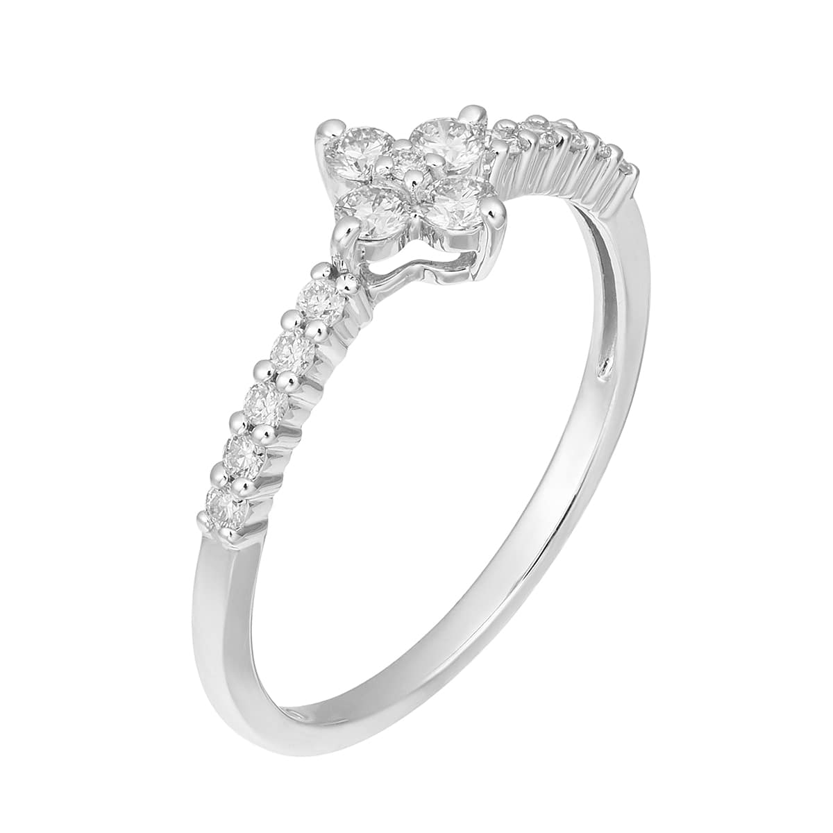 �v���`�i�_�C�������h�����O