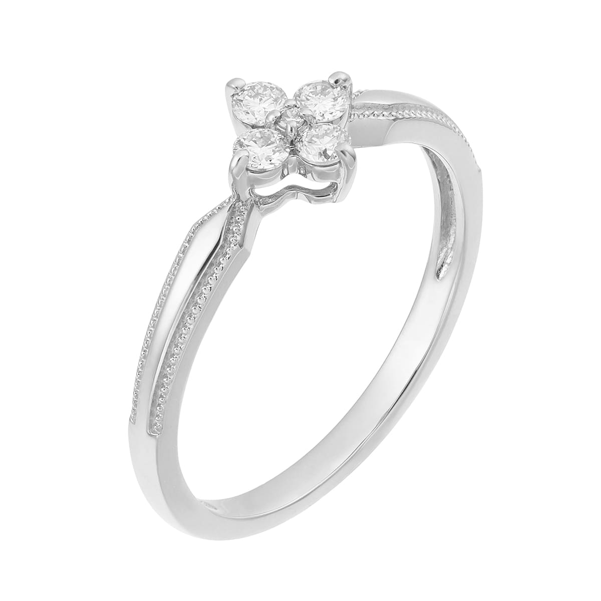 �v���`�i�_�C�������h�����O