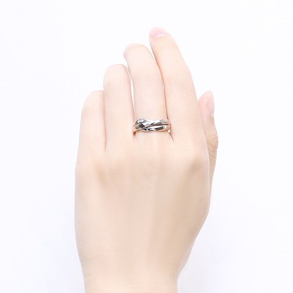 �v���`�i�_�C�������h�����O