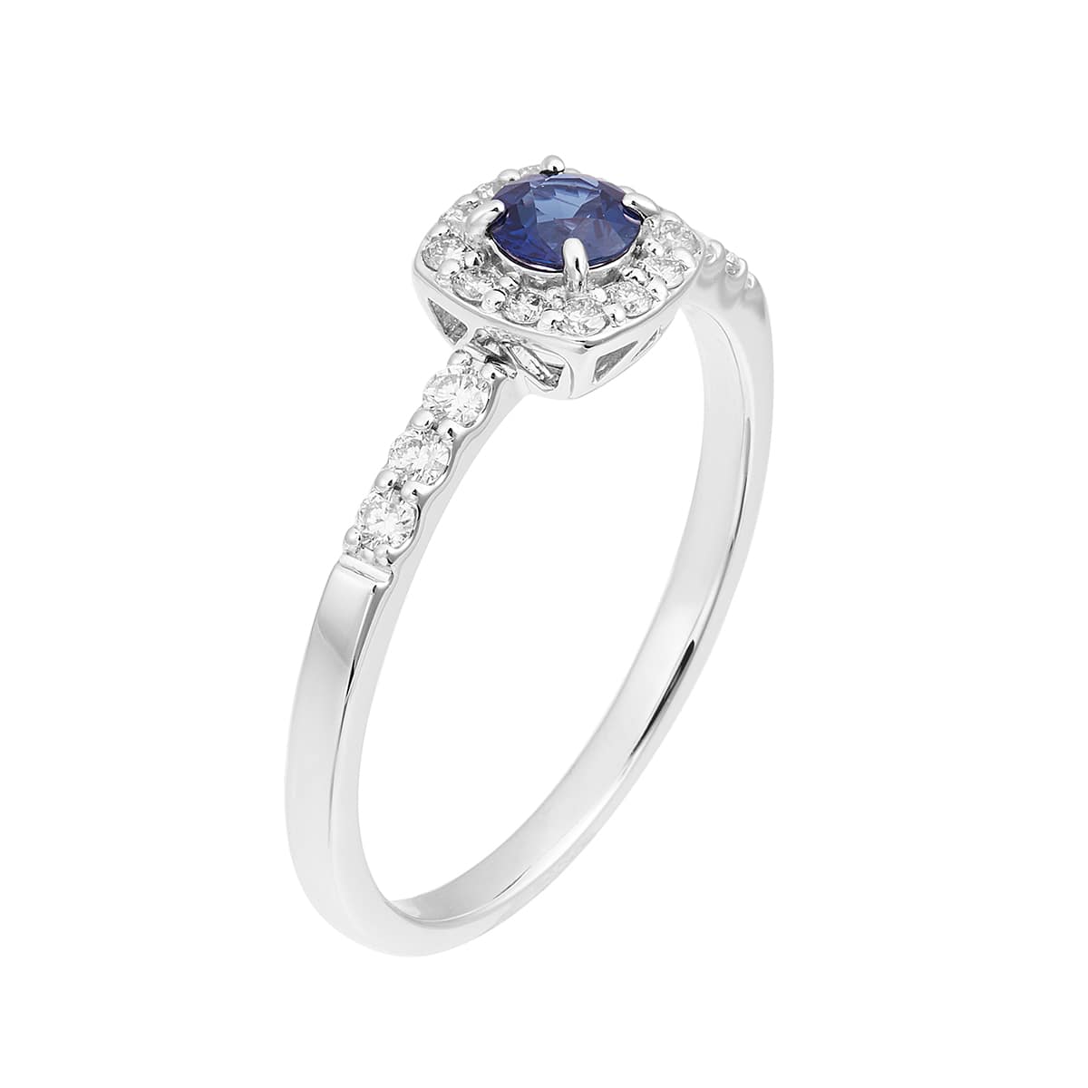 �v���`�i�T�t�@�C�A�����O