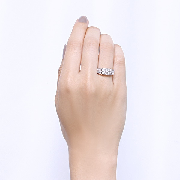 �v���`�i�_�C�������h�����O