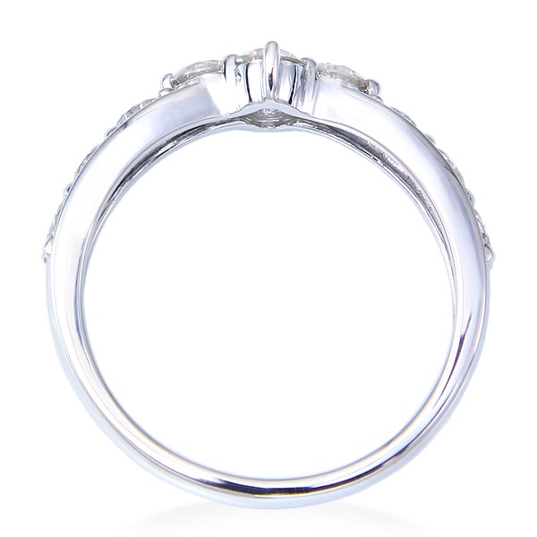 �v���`�i�_�C�������h�����O