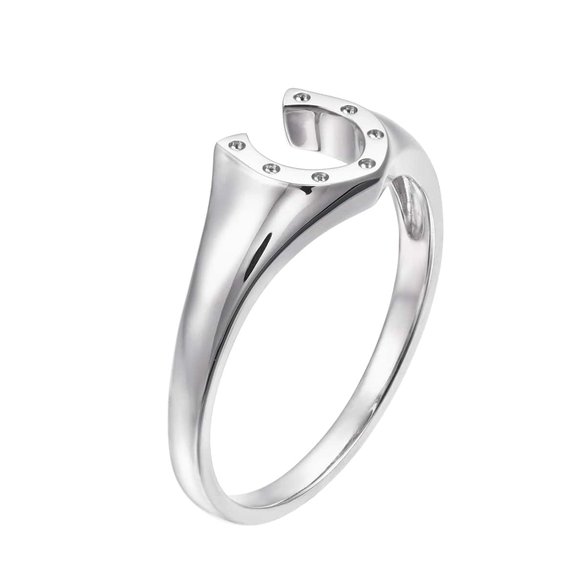 �v���`�i�����O