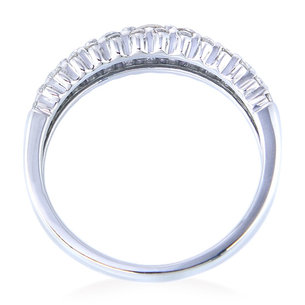 �v���`�i�_�C�������h�����O