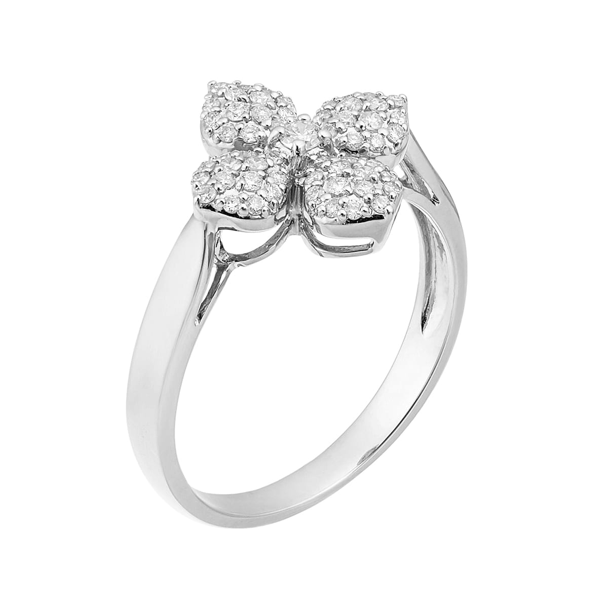 �v���`�i�_�C�������h�����O