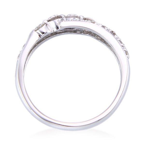 �v���`�i�_�C�������h�����O