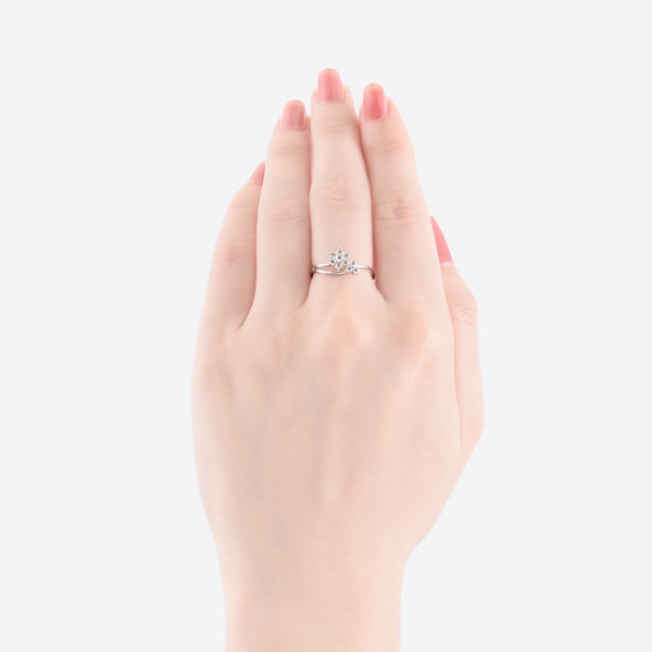 �v���`�i�_�C�������h�����O