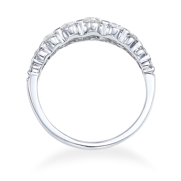 �v���`�i�_�C�������h�����O