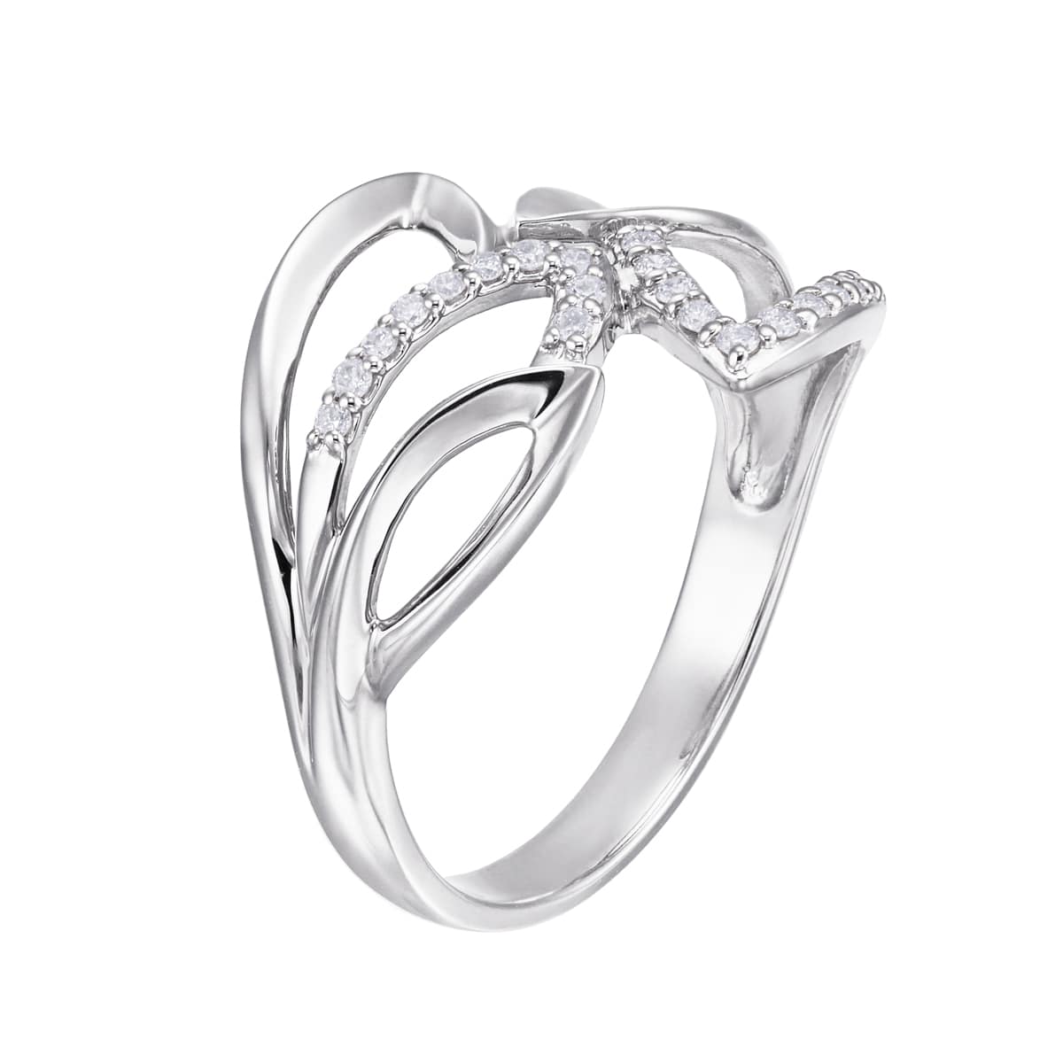 �v���`�i�_�C�������h�����O