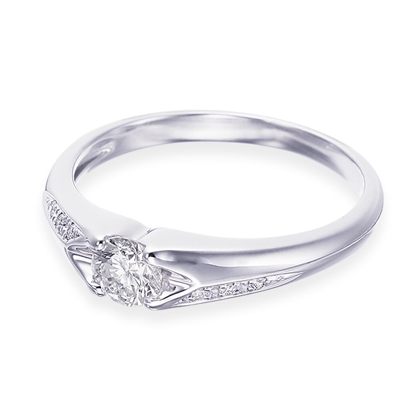 �v���`�i�Ӓ菑�t�_�C�������h�����O�i0.3�J���b�g�j