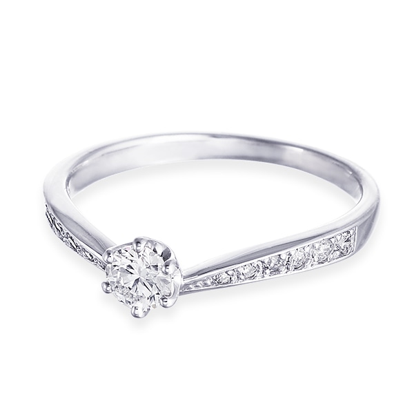 �v���`�i�Ӓ菑�t�_�C�������h�����O�i0.19�J���b�g�j