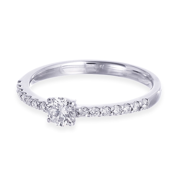 �v���`�i�Ӓ菑�t�_�C�������h�����O�i0.23�J���b�g�j