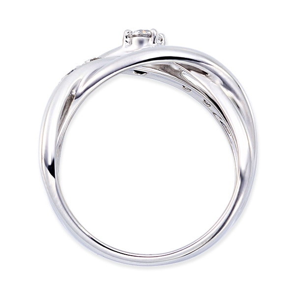 �v���`�i�Ӓ菑�t�_�C�������h�����O�i0.13�J���b�g�j